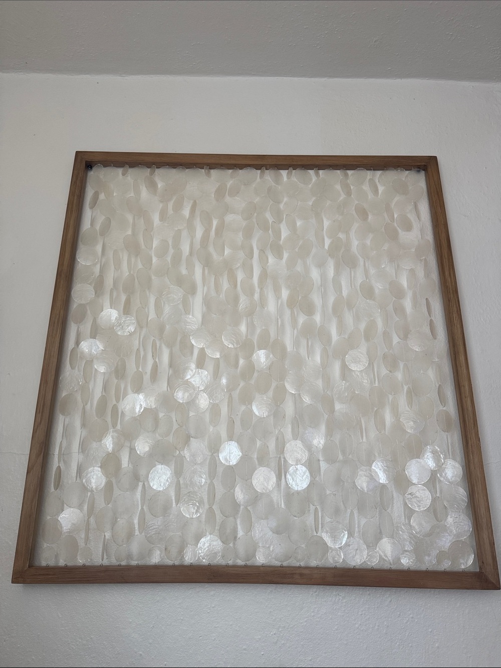 Cost Plus World Market White Shell Wall Art with Wood Frame